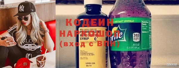 амф Майский