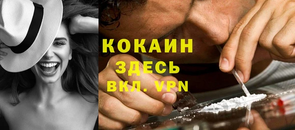 молекула духа Липки