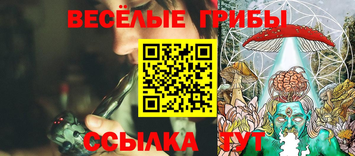 Галлюциногенные грибы Psilocybe  Вход с VPN  хочу наркоту  Евпатория 